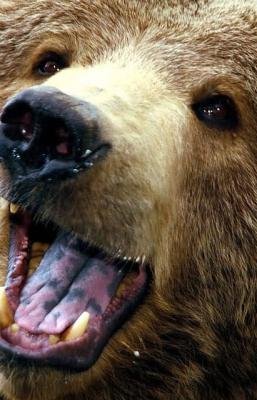 Dr. Fiona McAllister