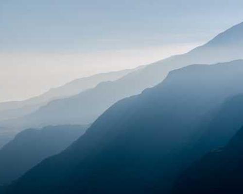 Early life bacteria and sibling exposure associate with restoration of the infant gut microbiome after cesarean section